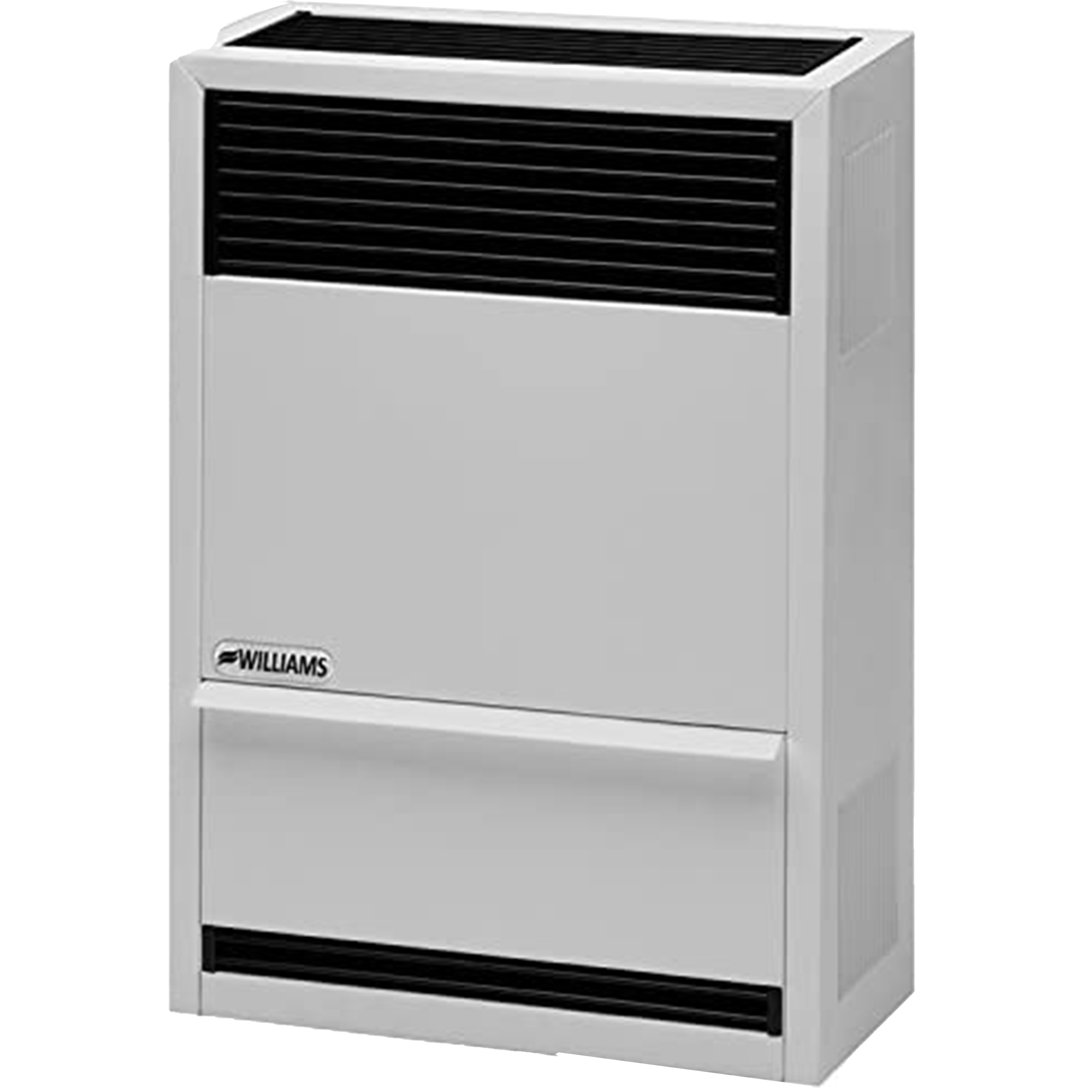 Williams Furnace Company Williams Direct-Vent Gravity Furnace 1403821